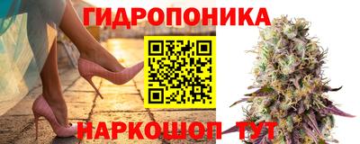 прущие грибы Тула