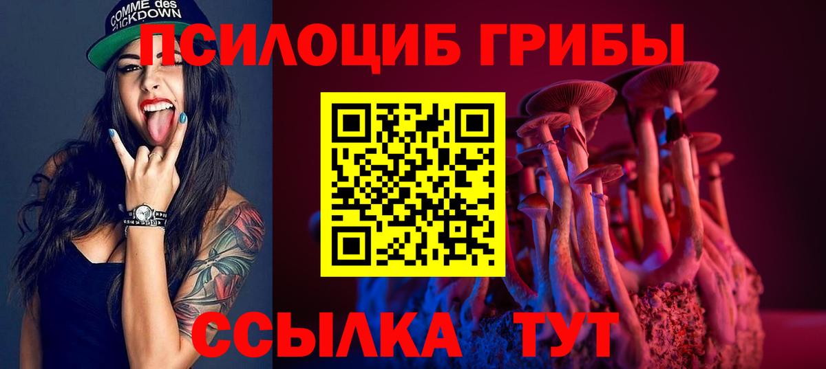 Псилоцибиновые грибы Psilocybe  Псилоцибиновые грибы Psilocybine cubensis  Аша 