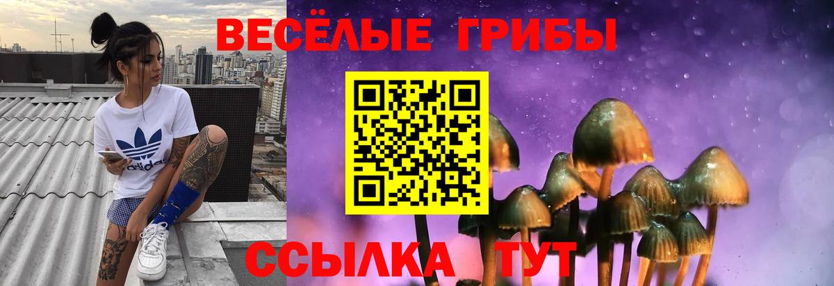 Аша  Галлюциногенные грибы MAGIC MUSHROOMS  Вход с VPN 